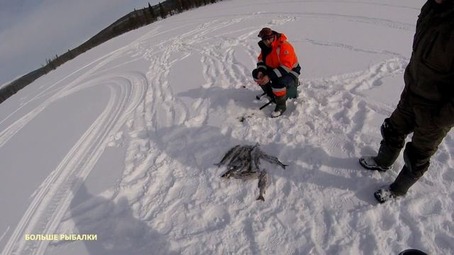 ХАРИУСА НАЛОВИЛИ целую гору!!! Повезло одному | Grayling | Fishing in Russia смотреть онлайн