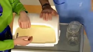 Жить здорово! Муравьи в квартире, доме. Как избавиться от них.