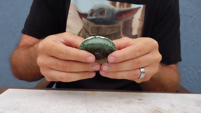 Repotting Shito Bonsai : Melon Seed Ficus смотреть онлайн