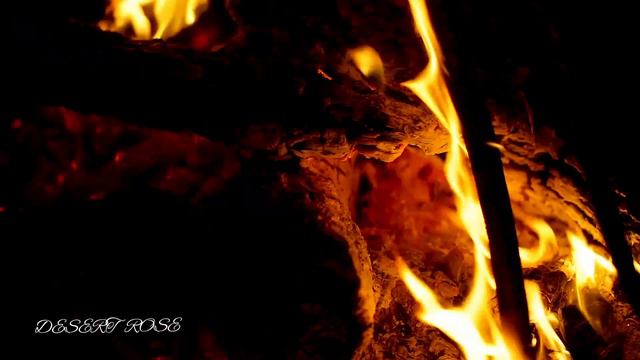 BONFIRE • RELAX • DESERT ROSE смотреть онлайн