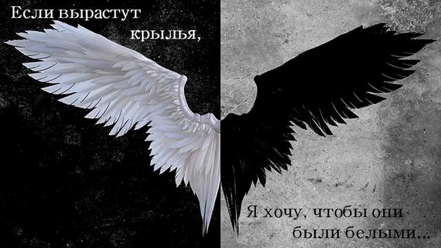 Если вырастут крылья за спиной, я хочу, чтобы были белыми... /// Крылья... После 11 смотреть онлайн