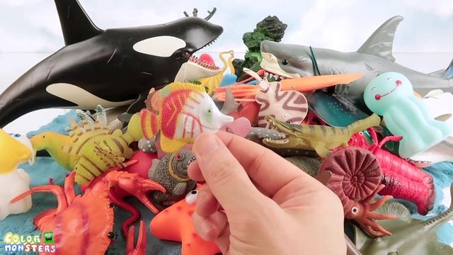 Learn Names Of Sea Animals For Kids | Water Ocean Animals Fun Education Video | ColorMonsters смотреть онлайн