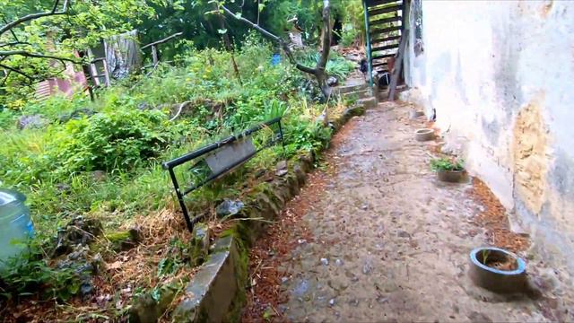 Встретимся этим летом! (часть 1) смотреть онлайн