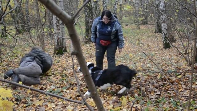 САО ЗКС смотреть онлайн