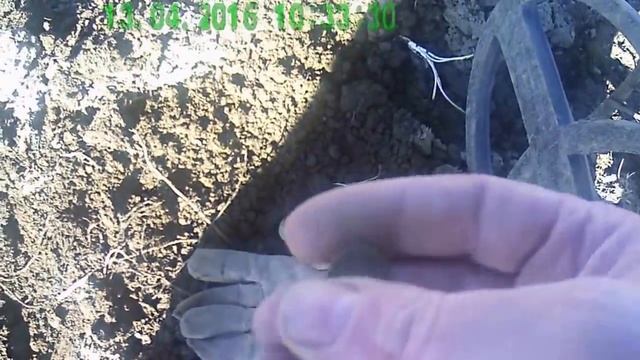 Мои находки 13 апреля 2016 года смотреть онлайн