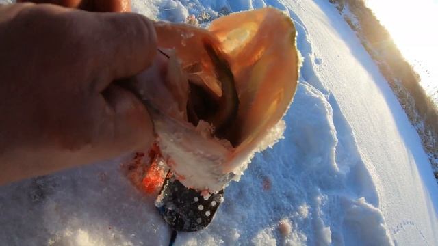 РЕЧКА. ЛОВИМ РЫБУ, ЖАРИМ САЛО! смотреть онлайн