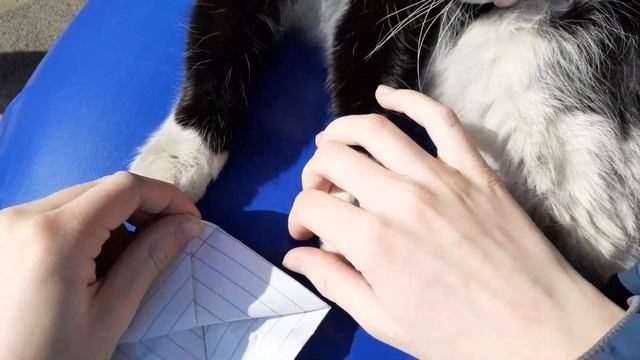 DIY кораблик смотреть онлайн