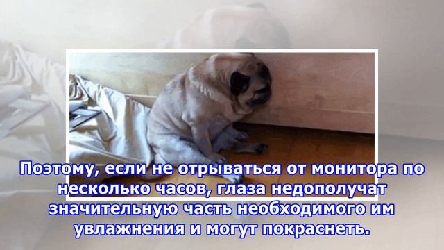 О чём говорят красные глаза и что с ними делать смотреть онлайн