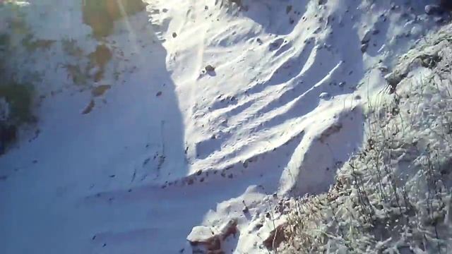 Лиса из норы в карьере смотреть онлайн