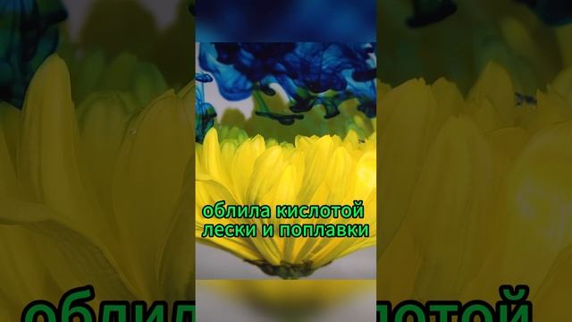 Жена рыбака. #юмор #смех #анекдоты #приколы #шутки #шортс смотреть онлайн