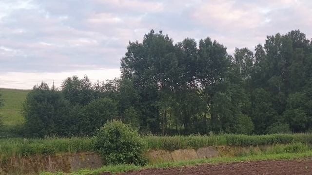 как сказал так и сделал- забор по саду готов смотреть онлайн