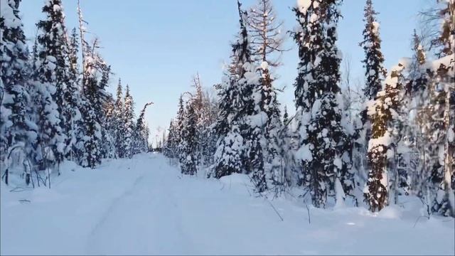 Ranger 59 _ Шеркалка 20.02 смотреть онлайн