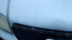 открытие капота Ауди А6 C5 / open the hood Audi A6 C5