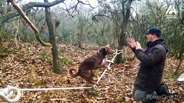 Видео нарезка трюков на стропе (slack line) смотреть онлайн