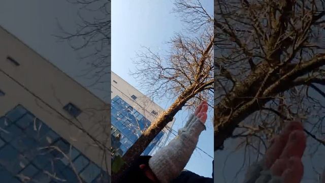 восьмая часть идём с рисования домой смотреть онлайн