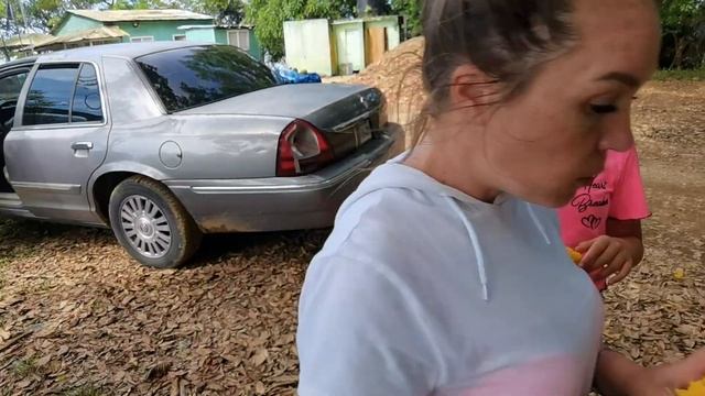 Экскурсия по Доминикане на автомобиле - Macao Beach, Laguna Limon, Redonda, собираем манго. смотреть онлайн