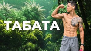 Рабочая ТАБАТА без кликбейта - Тренировка на все тело