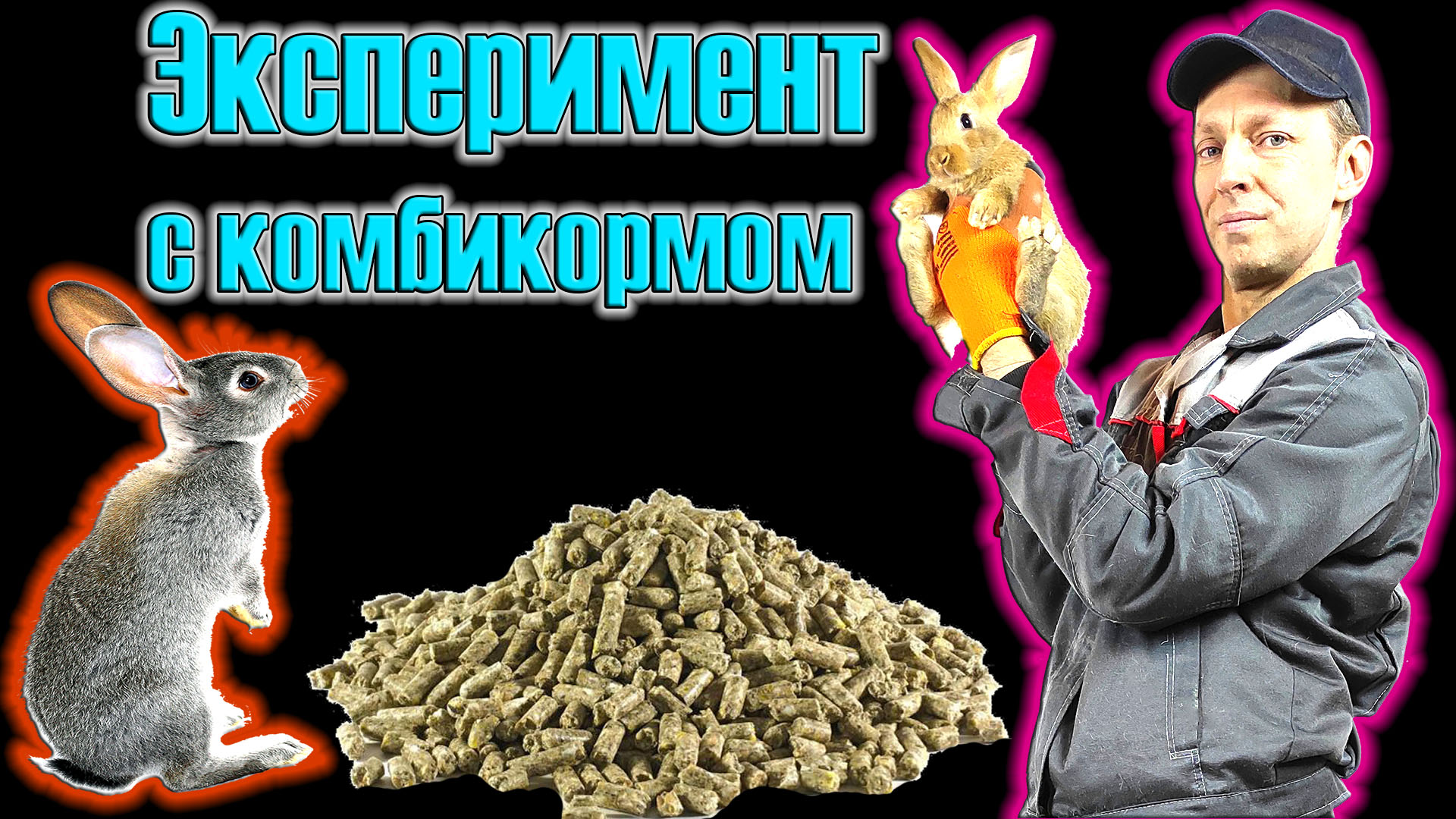 Эксперимент с кормлением комбикормом смотреть онлайн