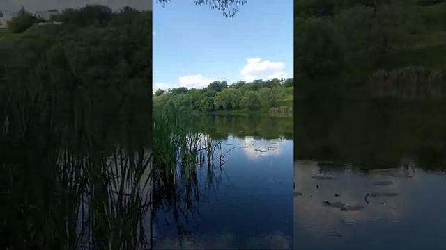 Как плачут деревья смотреть онлайн