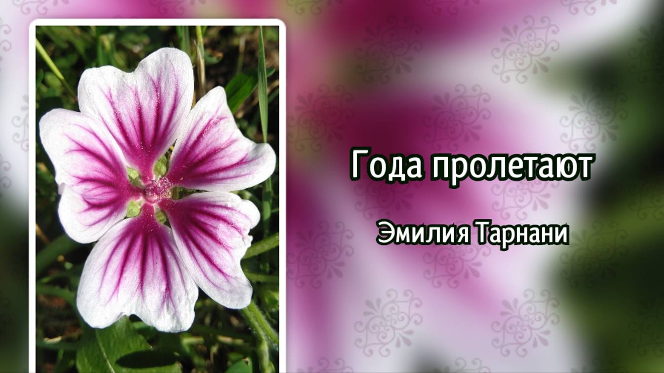 Года пролетают мгновеньями... (+) смотреть онлайн