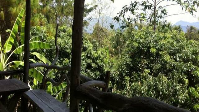 Таиланд, Ratchaburi, Ban Muang Ton Mamuang - Mushroom Resort 1 Star смотреть онлайн