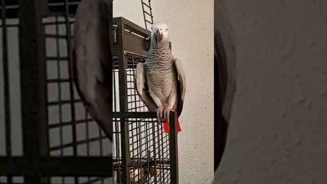 непоседа на уроке... как делы друг? смотреть онлайн