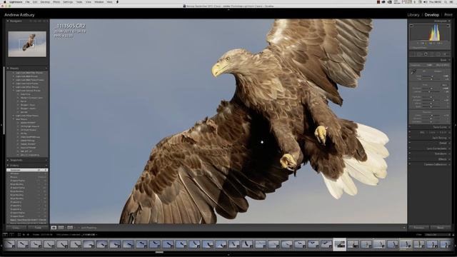 Lightroom Classic GPU problem смотреть онлайн