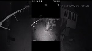 Как сохранить и просмотреть видео на свой смартфон в приложении XMeye