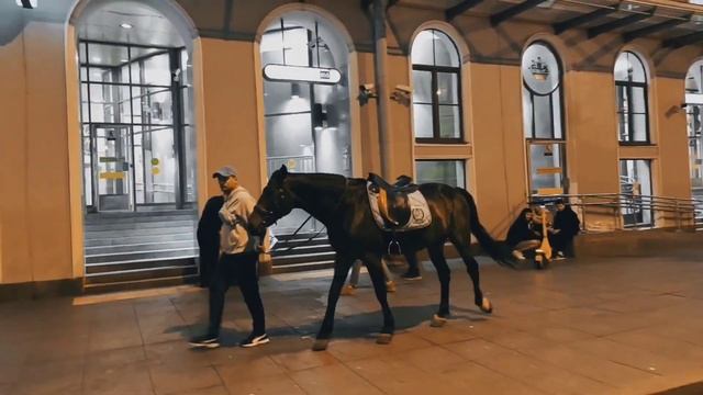 VID 20230820 235950 Торжество победителей (Фридрих Шиллер)...Павел Васильев Лахтинский смотреть онлайн