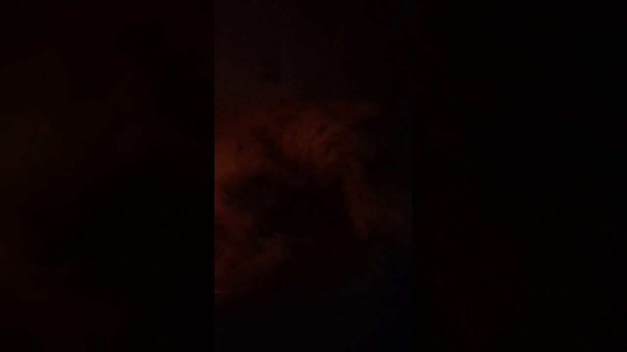 Милая киса
