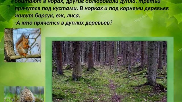 Познавательное "ЛЕС" средняя группа смотреть онлайн