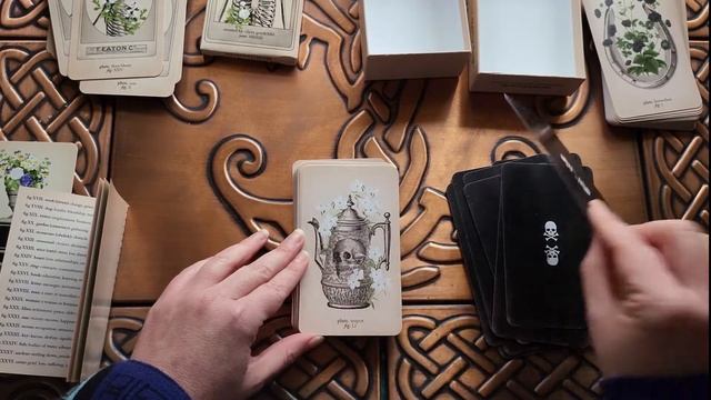 Memento Mori Lenormand & Oracle Deck - Ancestors Pack Add-On - Walkthrough смотреть онлайн