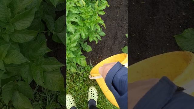 Как набрать ведро воды???? | Туториал. (09.07.2023) 103010 смотреть онлайн