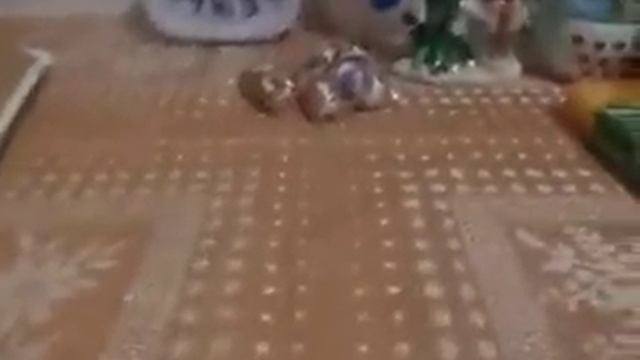 Подарки на Новый год! Что подарили? 1 Часть. смотреть онлайн