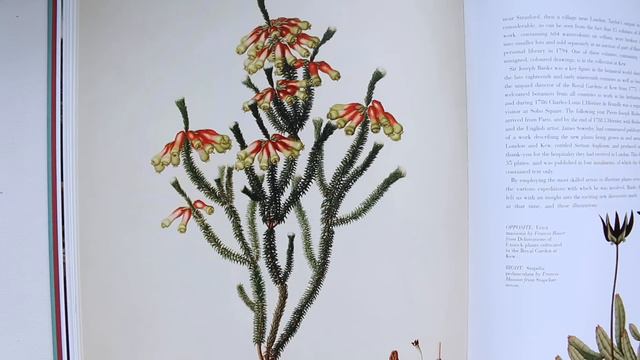 Art Book Haul | APR 19