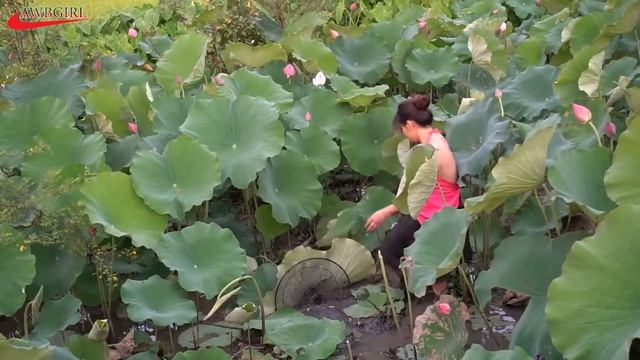Amazing Frog Trap How to catch big frogs Catch Frogs Using Electric Fan Guard Fish Trap смотреть онлайн