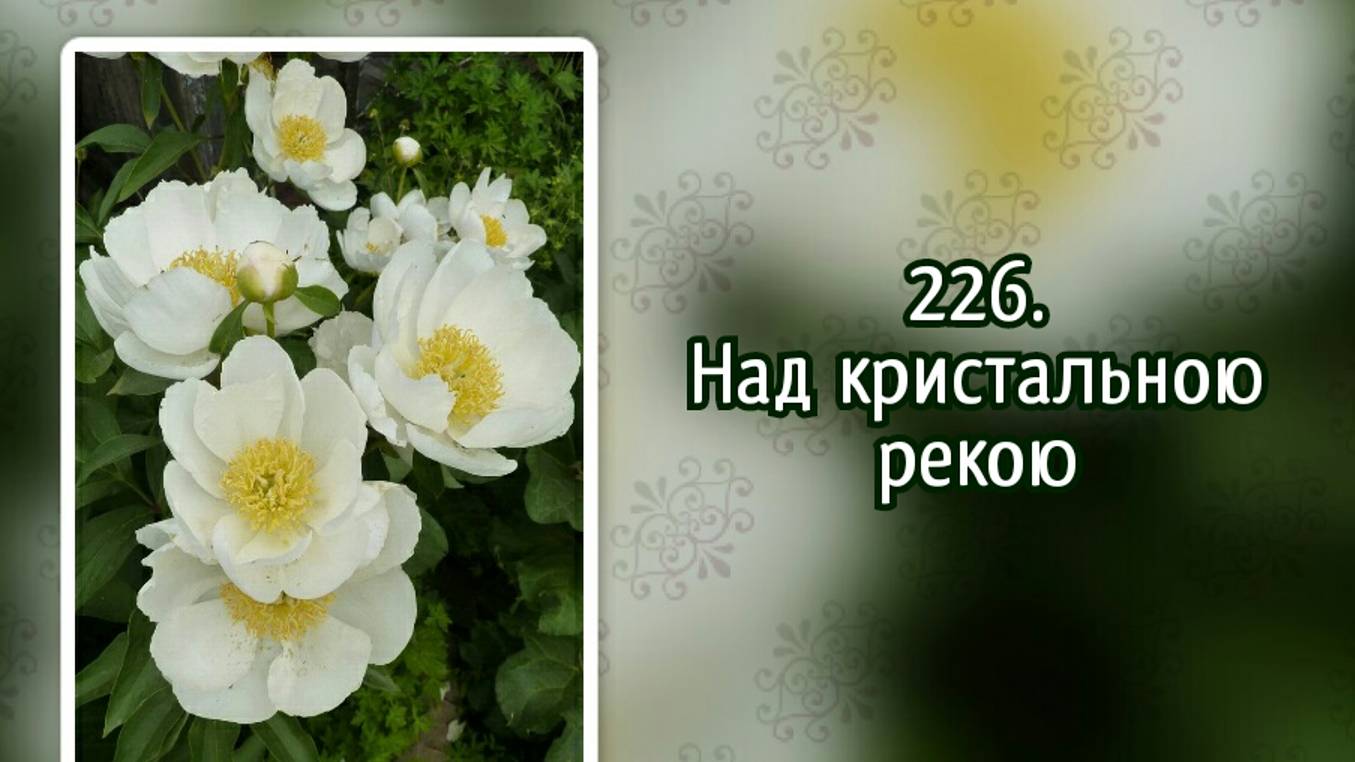 Гимны надежды 226 Над кристальною рекою (-) смотреть онлайн