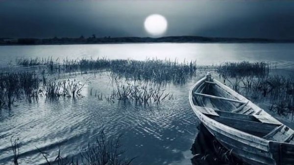 "Серебрится лунным светом" (Беллини) Лилиана Шайхи