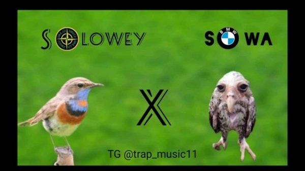 SoloWay x Sova (prod. DJ Zyableak)