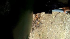 HDX 390 подъём на прицеп