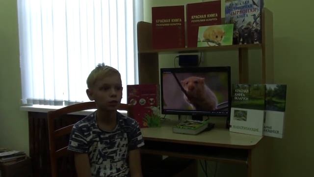 Орешниковая соня смотреть онлайн