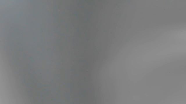 Аист, почему то оказался на краю проезжей части трассы Минск-Гродно смотреть онлайн