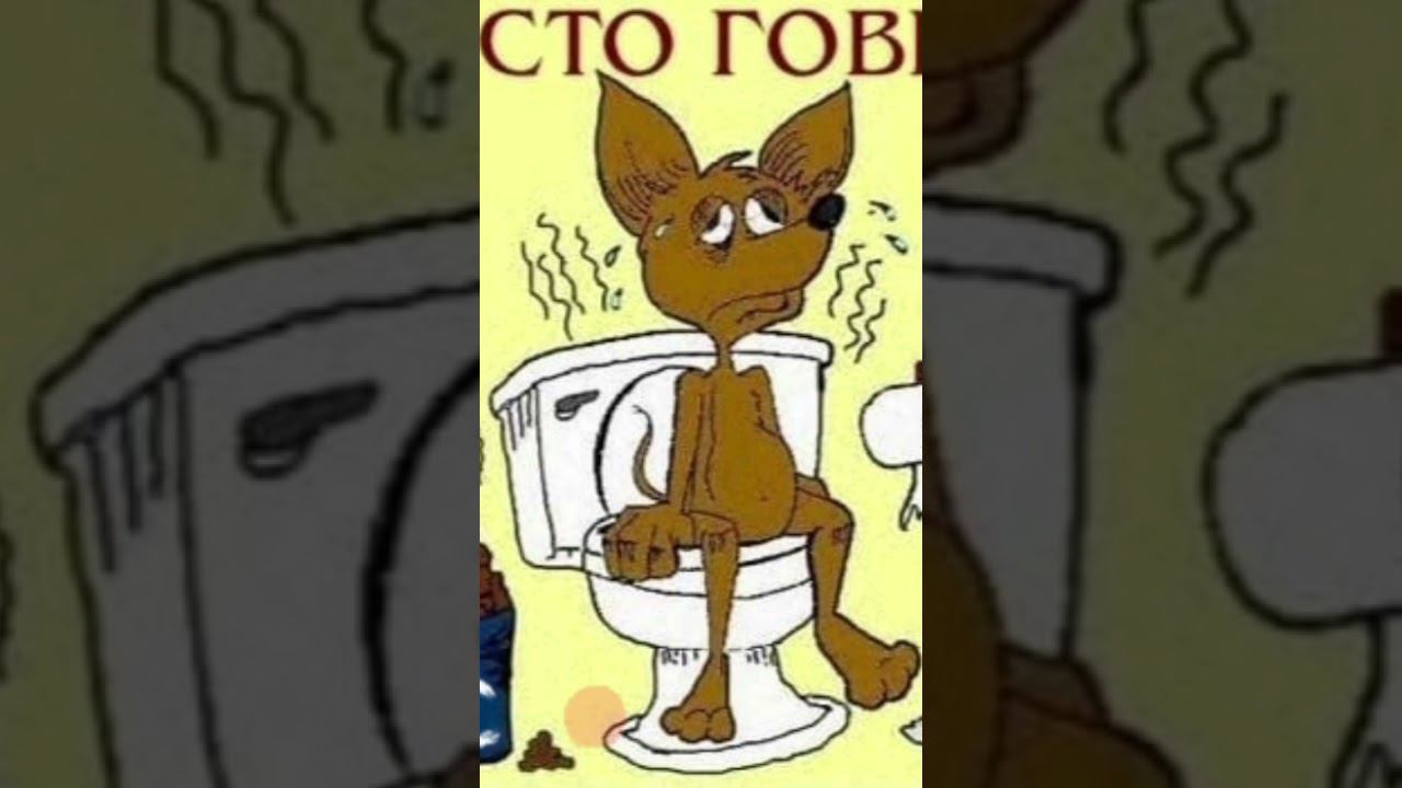 говнюк смотреть онлайн