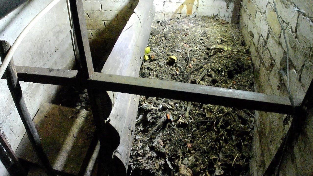 Вермикомпостер своими руками. Вермикомпостер Лодырь. Чем кормить червей в домашних условиях смотреть онлайн