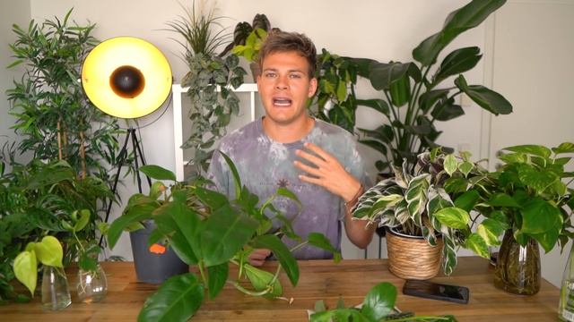 PFLANZEN VERMEHREN - Ableger richtig schneiden | Joey's Jungle Plants смотреть онлайн