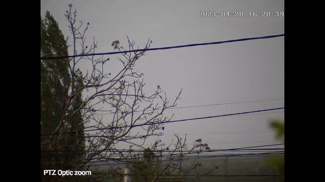 Anbiux B2 20x zoom Поворот при зуме смотреть онлайн