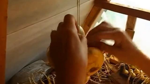 как плести лук в косички смотреть онлайн