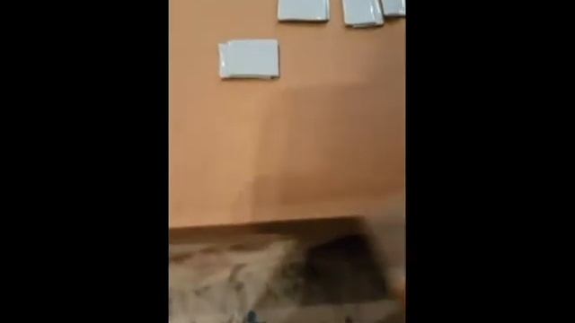 Перегрев Gigabyte RTX 3080 Gaming OC 10G. Решение- замена термопрокладок. смотреть онлайн