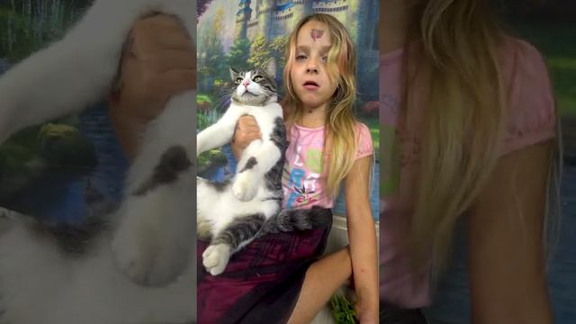 НАШ ПИКСЯ ЭТО МЯТА?! КОШАЧЬЕ РАЗОБЛАЧЕНИЕ! смотреть онлайн