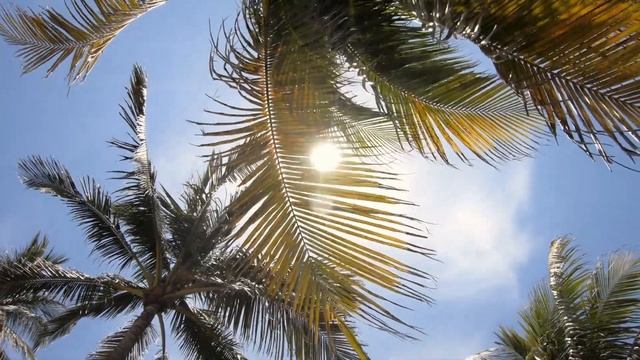 Вы скоро встретите любовь всей своей жизни! 5 признаков смотреть онлайн